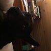 randysmith11